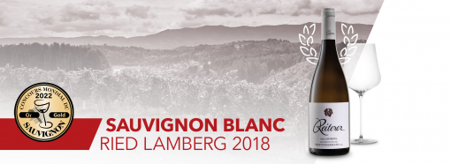 Top Ergebnis für Sauvignon Blanc Ried Lamberg 2018